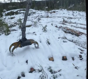 brsvensson22